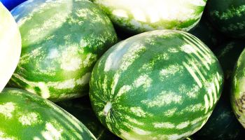 Close-Up Of Watermelons For Sale At Market