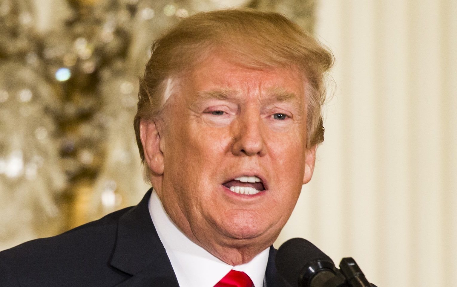 U.S. President Trump and Swedish Prime Minister Lofven