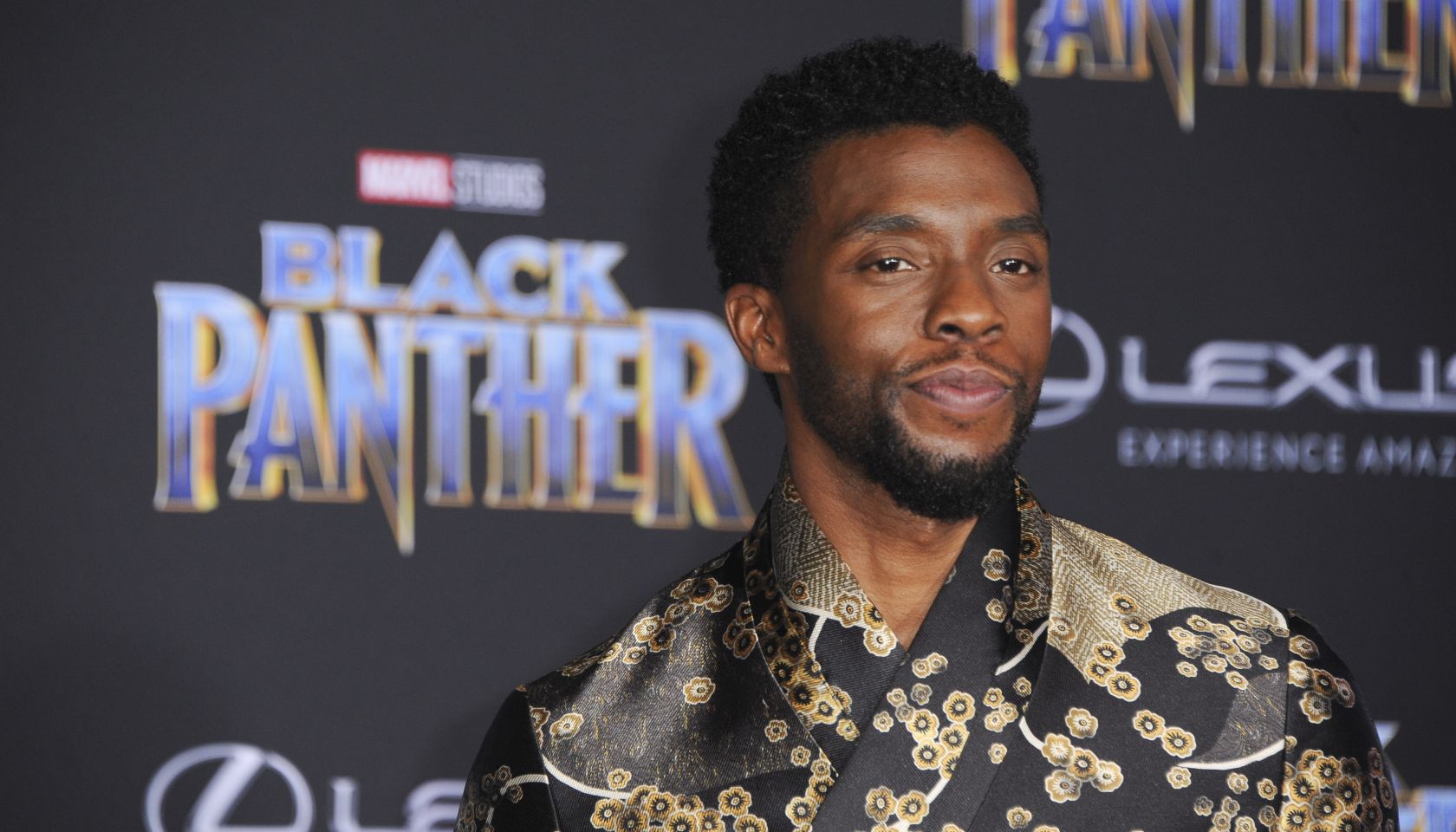 Film Premiere of Black Panther