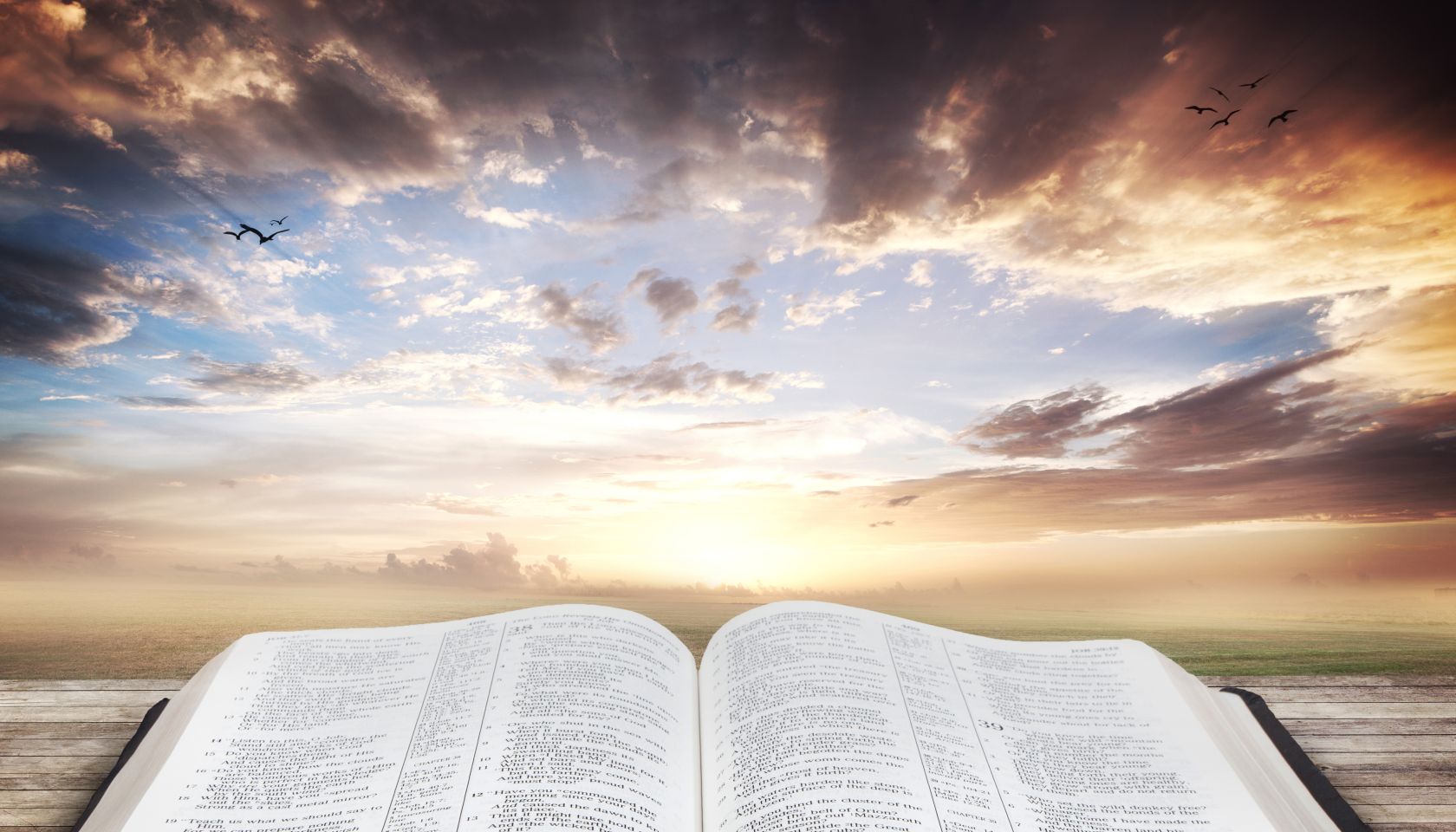 Bible